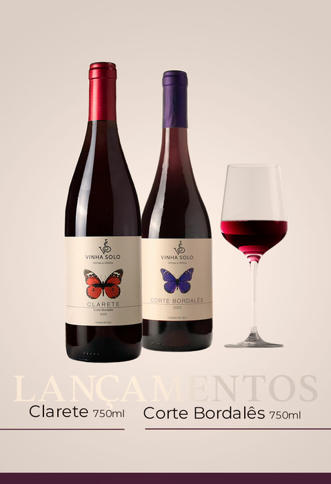 Carrossel 1