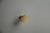 Imagem do Puxador Ponto Beetle