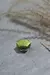 LISILINKA /Folhas brilhantes 4 MINI HALFPANS/ na internet