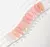 Semi Navi pink jade 10ml en internet