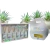 Esmalte ojo de gato x 6 - ICE-THROUGH - comprar online