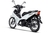 Arquivo Biz 125 2025 ES/EX - comprar online