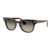 Lentes de Sol Ray-Ban Wayfarer 2168 902/32 Carey/Gris Degrade