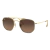 Lentes de Sol Ray-Ban Marshal 3648M 9124/43 Dorado/Marron Degrade