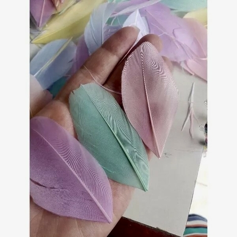 Penas candy color para artesanato pacote com 10