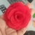 Flor organza luxo - 5cm - loja online
