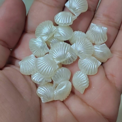 Concha com passante - 5 unidades