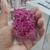 Flor prensada pacote com 50 unidades na internet