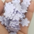 Flor prensada pacote com 50 unidades - Sobela Laços e Aviamentos