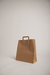 PACK 600 | Bolsas de papel kraft CON LOGO en internet