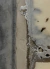 HOME CANDLE CONCRET - B&G | SH en internet