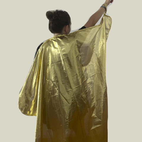 Capa Shine - comprar online