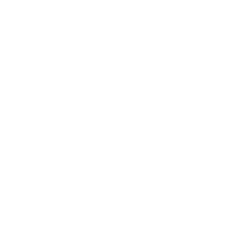 Fluy Oficial