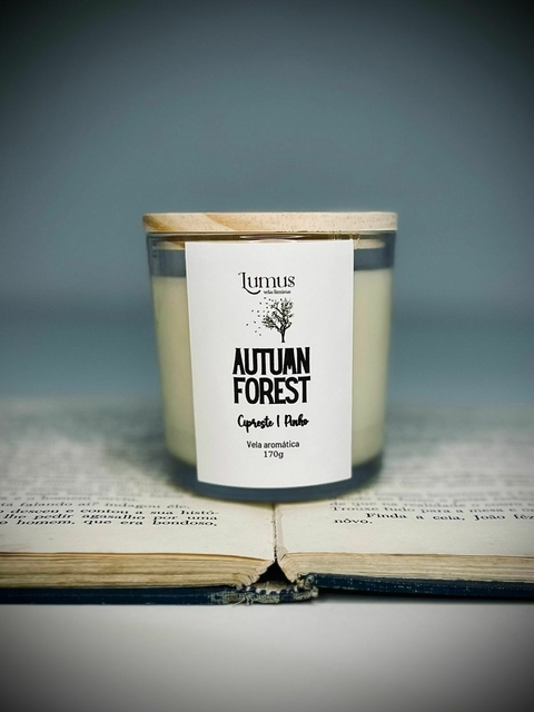 Autumn Forest - Cozy Collection