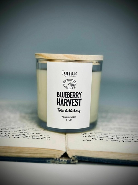 Blueberry Harvest - Cozy Collection