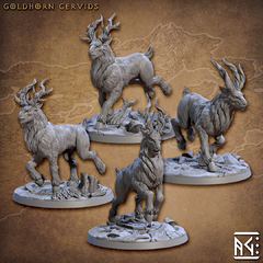 Pack Goldhorn Cervids (10% Off)s