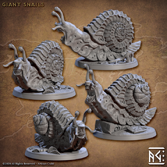 Pack Giant Snails (10% OFF)