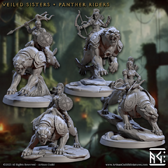Pack Veiled Sister Panther Riders 1 (10% OFF) - comprar online