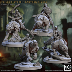 Pack Veiled Sister Panther Riders 2 (hood) (10% OFF) - comprar online