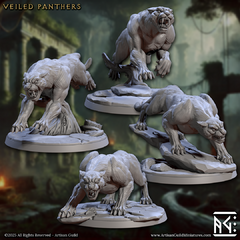 Pack Wild Panthers (10% OFF) - comprar online