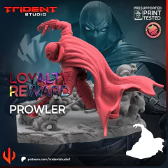 Prowler na internet