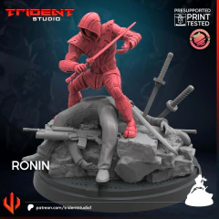 Ronin na internet