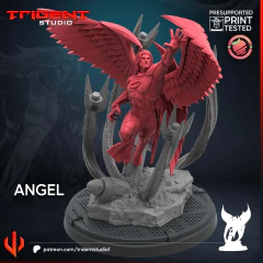 Angel na internet