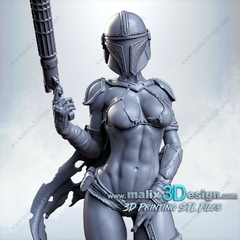 Lady Mandalorian - Sanix na internet