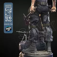 The Punisher - Sanix na internet