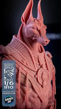 Imagem do Anubis - Sanix