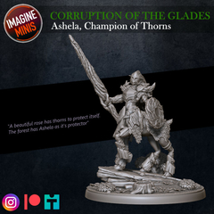 Ashela - Champion of Thorns (Lance & Shield)