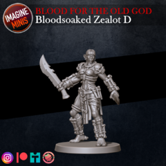 Bloodsoaked Zealot D