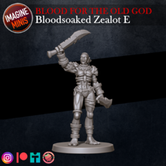 Bloodsoaked Zealot E