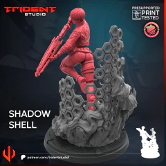 Shadow Shell na internet