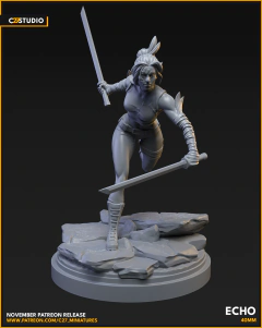 Echo