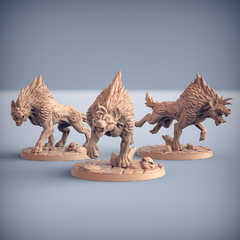 Pack Hyenas (10% Off)