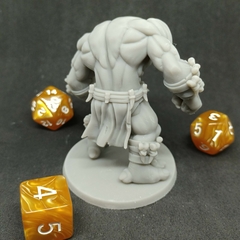 Dire Troll C - Fábrica de Minis