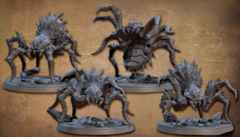 Kit Faldorn Spiders (10% Off)