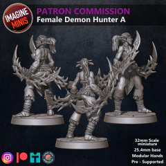 Female Demon Hunter A na internet