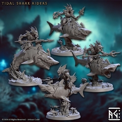 Pack Tidal Shark Riders 1 (10% OFF)