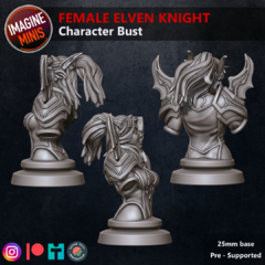 Female Elven Knight Bust na internet