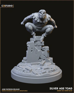 Silver Age Toad