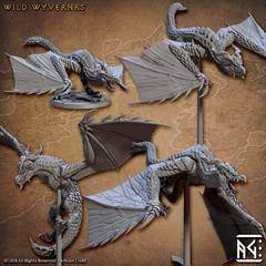 Pack com os 4 Wyvern (10% OFF)