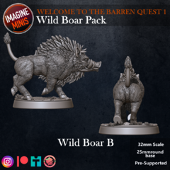 Wild Boar B