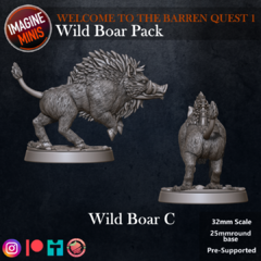 Wild Boar C