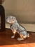 Figura de perro en internet