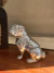 Figura de perro en internet