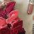 Kit 6 Scrunchies Veludo Laço na internet