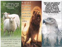 SEPARADORES TEXTO- ARCHIVO DESCARGABLE en internet