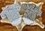 Kit Body Feminino Xadrez Manga Longa Baby 2 unidades - West Tuff Jeans